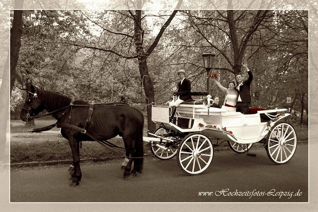 Pferdekutsche zur Hochzeit mieten